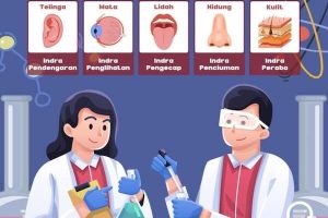 Bahan Ajar Materi Panca Indra Manusia untuk Siswa Sekolah Dasar